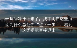 一瞬间冷汗下来了，我才明白这些页面为什么总让你“点下一步”；看到这类提示直接退出