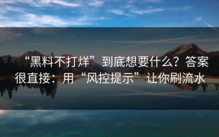 “黑料不打烊”到底想要什么？答案很直接：用“风控提示”让你刷流水