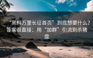 “黑料万里长征首页”到底想要什么？答案很直接：用“加群”引流到杀猪盘