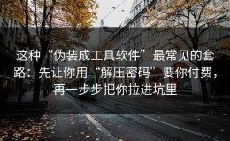 这种“伪装成工具软件”最常见的套路：先让你用“解压密码”要你付费，再一步步把你拉进坑里