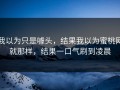 我以为只是噱头，结果我以为蜜桃网就那样，结果一口气刷到凌晨