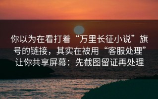 你以为在看打着“万里长征小说”旗号的链接，其实在被用“客服处理”让你共享屏幕：先截图留证再处理