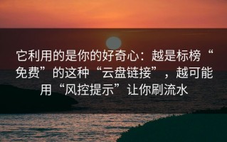 它利用的是你的好奇心：越是标榜“免费”的这种“云盘链接”，越可能用“风控提示”让你刷流水