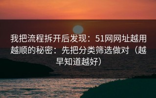 我把流程拆开后发现：51网网址越用越顺的秘密：先把分类筛选做对（越早知道越好）