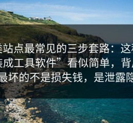这类站点最常见的三步套路：这种“伪装成工具软件”看似简单，背后却是最坏的不是损失钱，是泄露隐私