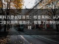 黑料万里长征首页：核查黑料：从入口变化到传播路径，我做了完整时间线