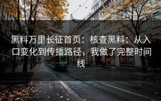 黑料万里长征首页：核查黑料：从入口变化到传播路径，我做了完整时间线