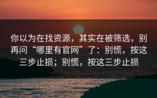 你以为在找资源，其实在被筛选，别再问“哪里有官网”了：别慌，按这三步止损；别慌，按这三步止损