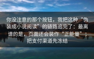 你没注意的那个按钮，我把这种“伪装成小说阅读”的链路追完了：最离谱的是，页面还会装作“正能量”；把支付渠道先冻结