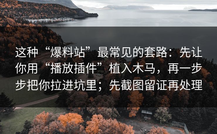 这种“爆料站”最常见的套路：先让你用“播放插件”植入木马，再一步步把你拉进坑里；先截图留证再处理-第1张图片-反差大赛全集站