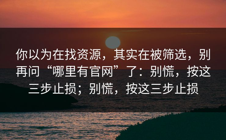 你以为在找资源，其实在被筛选，别再问“哪里有官网”了：别慌，按这三步止损；别慌，按这三步止损