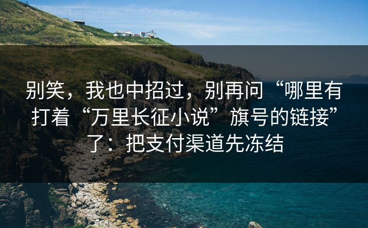 别笑，我也中招过，别再问“哪里有打着“万里长征小说”旗号的链接”了：把支付渠道先冻结