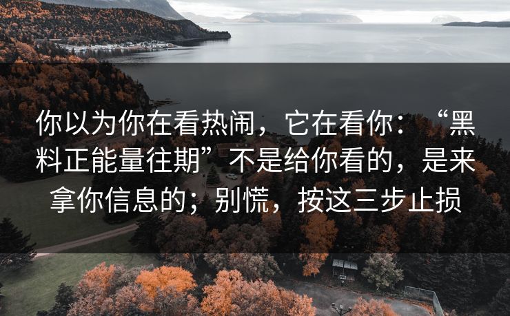 你以为你在看热闹，它在看你：“黑料正能量往期”不是给你看的，是来拿你信息的；别慌，按这三步止损