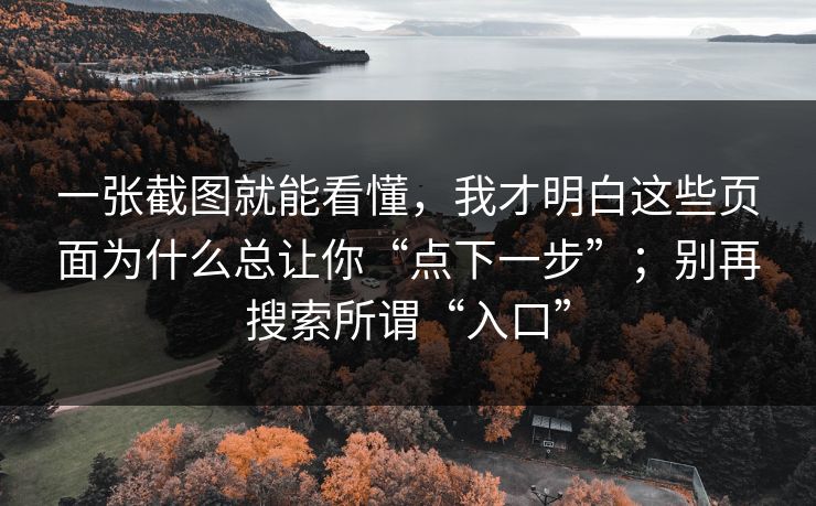 一张截图就能看懂，我才明白这些页面为什么总让你“点下一步”；别再搜索所谓“入口”