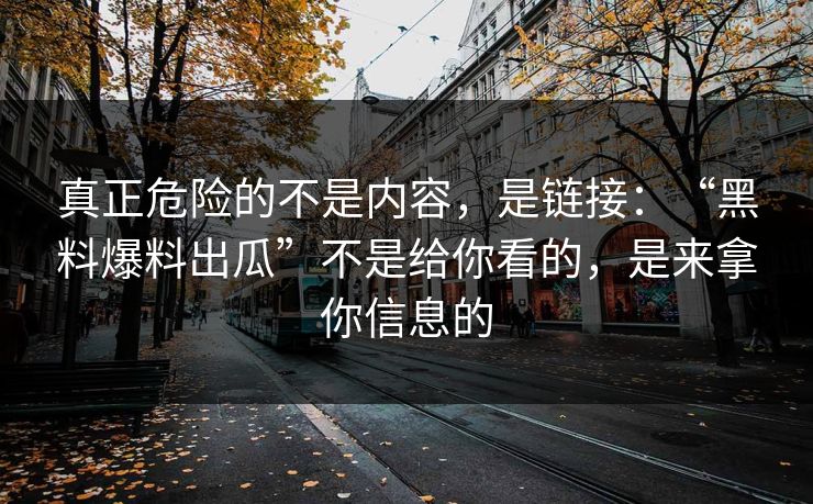 真正危险的不是内容，是链接：“黑料爆料出瓜”不是给你看的，是来拿你信息的