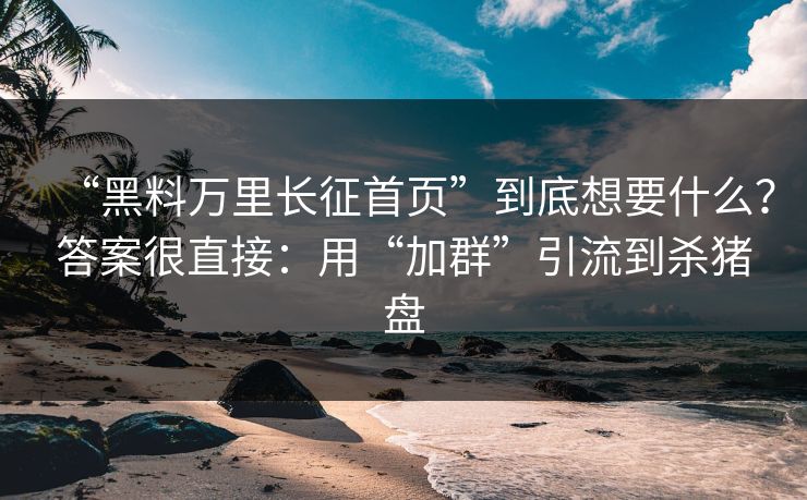“黑料万里长征首页”到底想要什么?答案很直接:用“加群”引流到杀猪盘 “黑料万里长征首页”到底想要什么?答案很直接:用“加群”引流到杀猪盘